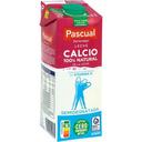 Leche semidesnatada calcio Pascual brik 1 l