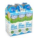 Leche semidesnatada Central Lechera Asturiana brik 6 x 1 l