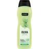Gel de Baño Oliva