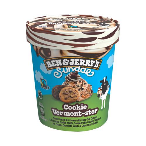 BEN & JERRY'S Tarrina de helado de nata con galletas y trocitos de chocolate sundae 427 ml