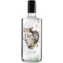 Ginebra obvius, botella 70 cl