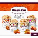 Mini cups de caramelo collection haagen dazs, 4 uds, caja 321 g
