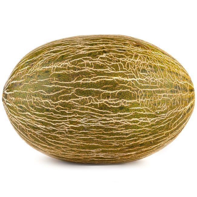 Melón piel de sapo