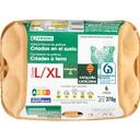Huevo fresco suelo l/xl eroski cataluña, 1/2 docena