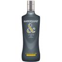 Ginebra ampersand, botella 70 cl