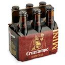 Cerveza Cruzcampo Especial pack 6 botellas de 20 cl