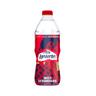 LANJARÓN Sport  Agua mineral botella de 75 cl