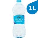 Agua Mineral Natural Botella