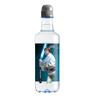 Agua sin gas CABREIROA botella sport 50 cl