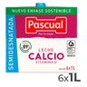 Leche semidesnatada calcio Pascual brik 6 x 1 l