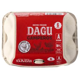 DAGU Huevos de gallinas camperas clase M-L y cat. A 6 uds