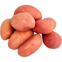 Patata roja, al peso, compra mínima 1 kg