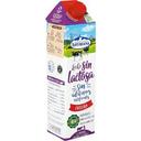 Leche entera sin lactosa Central Lechera Asturiana brik 1 l