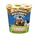 BEN & JERRY'S Sundae Tarrina de helado chocolate con masa de galleta cacao y helado de nata 427 ml