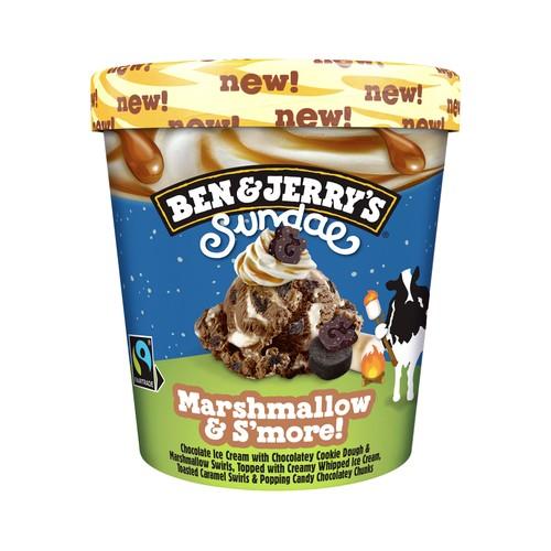 BEN & JERRY'S Sundae Tarrina de helado chocolate con masa de galleta cacao y helado de nata 427 ml