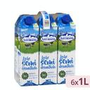 Leche semidesnatada Central Lechera Asturiana brik 6 x 1 l